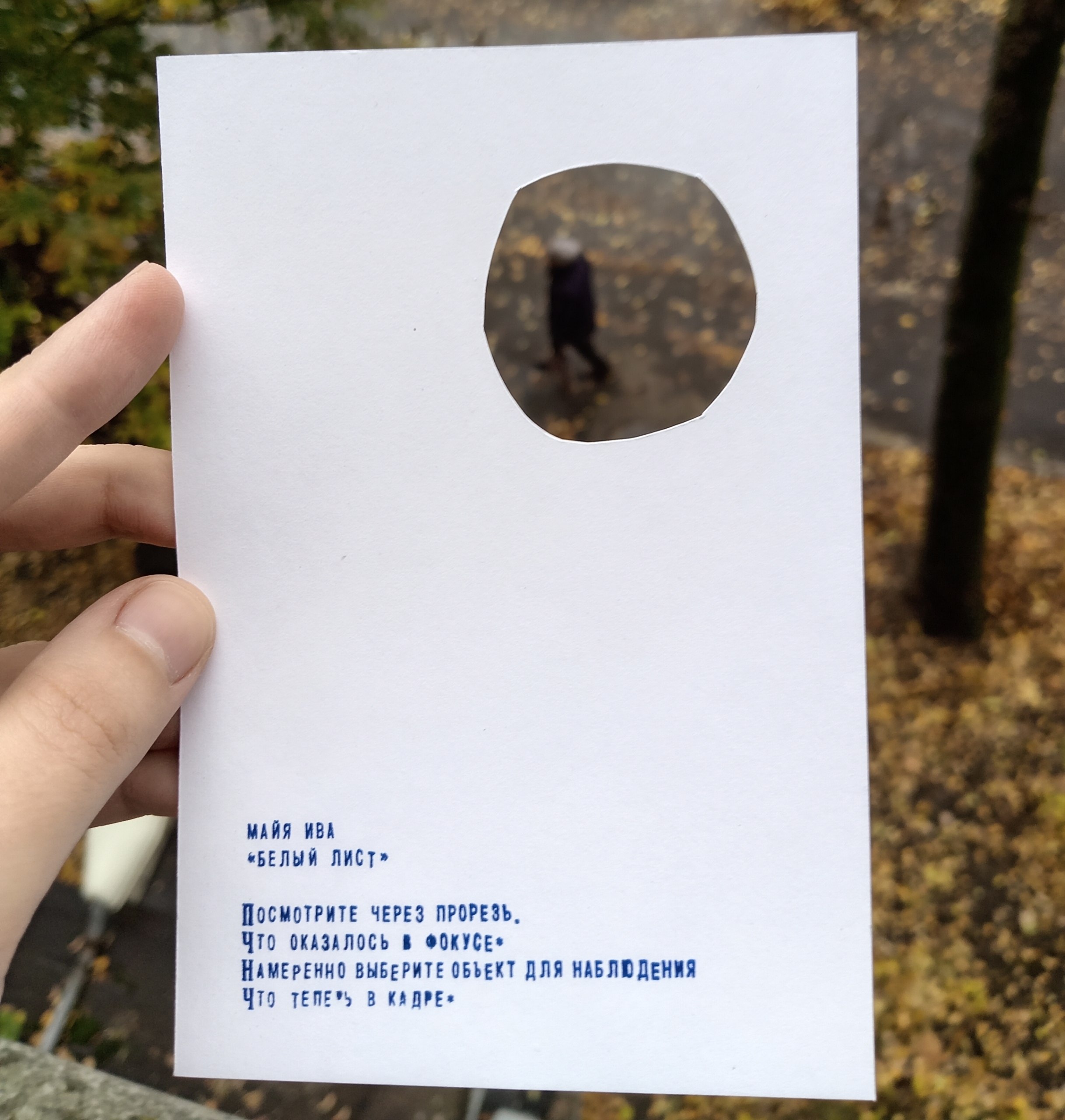 белый лист - Изображение 5